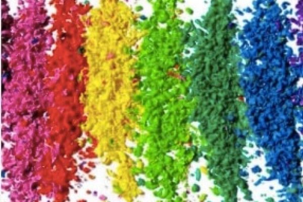 Dyes-Pigments