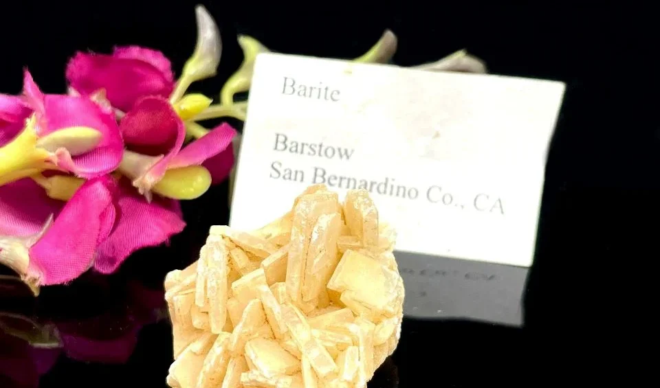 How SNDB Became a Leader in Barite Manufacturing and Chemical Exports