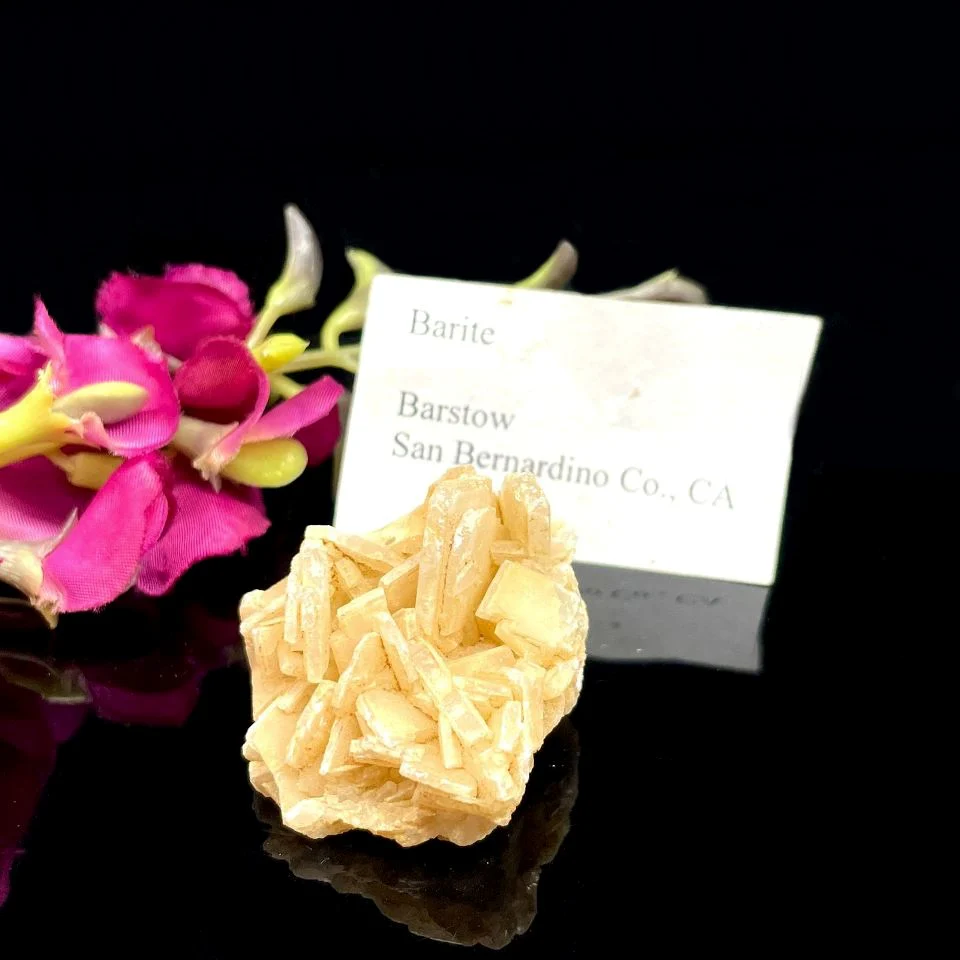 How SNDB Became a Leader in Barite Manufacturing and Chemical Exports