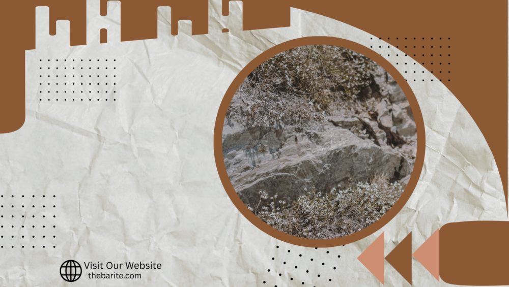 API Grade Barite: SNDB – India’s Leading Manufacturer & Exporter of High-Quality Barite Powder