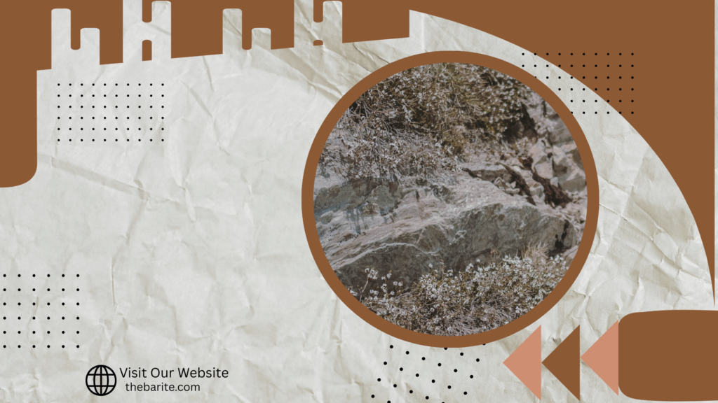 API Grade Barite: SNDB – India’s Leading Manufacturer & Exporter of High-Quality Barite Powder