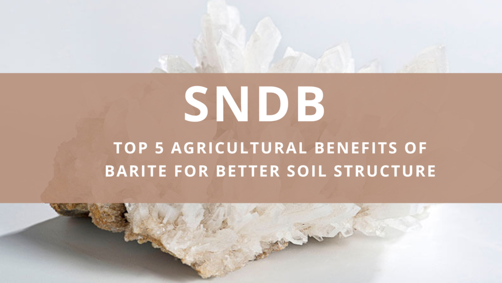 SNDB | Top 5 Agricultural Benefits of Barite for Better Soil Structure